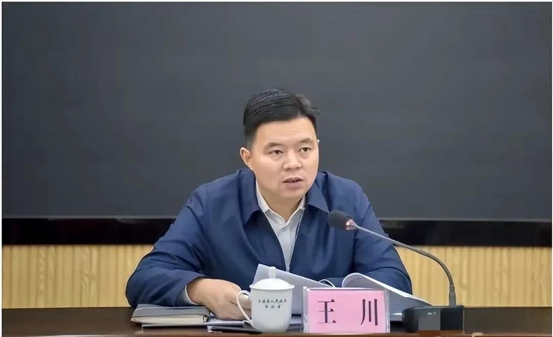 县委书王川任上被查,近期刚被提拔公示,倒下令人唏嘘