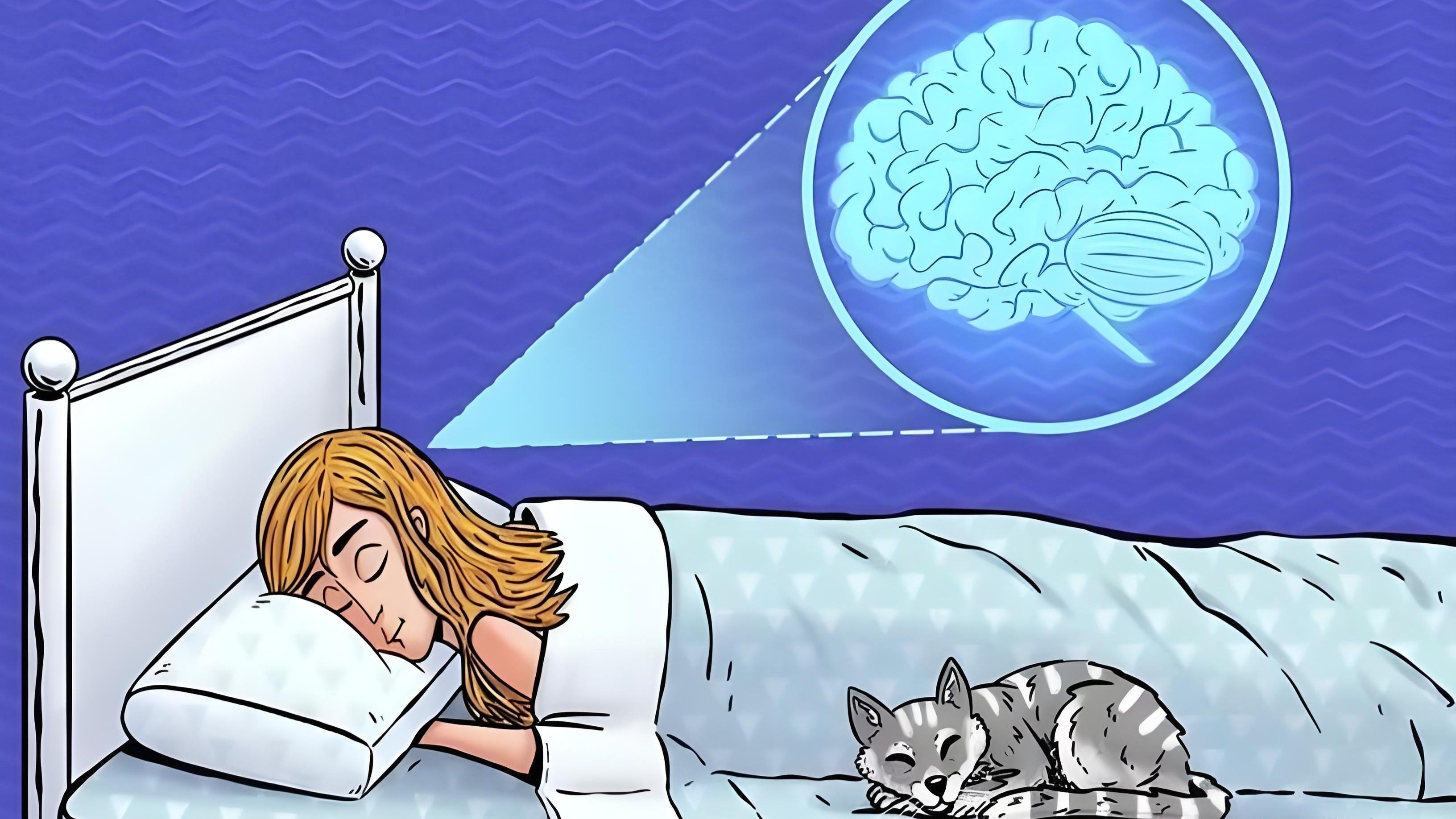 做梦是大脑在清除废物,对吗?睡觉时出现的多种奇怪现象都正常吗?