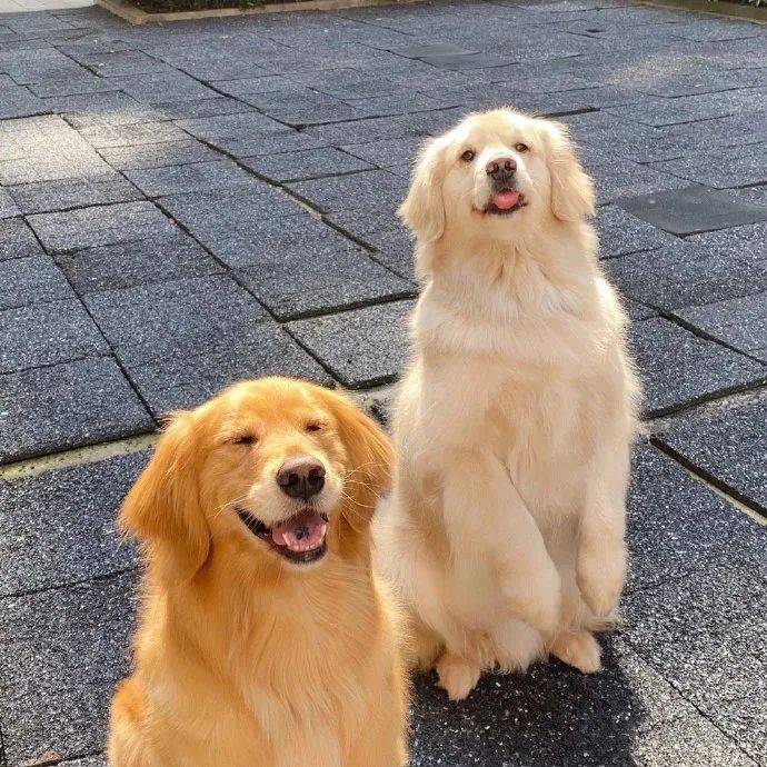 头像丨拒绝不了の微信头像