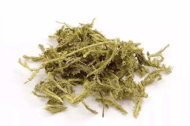 不起眼的小草药