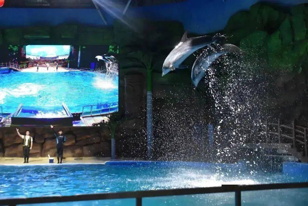 暑假来吉林必打卡10件事,少一件都不完美!