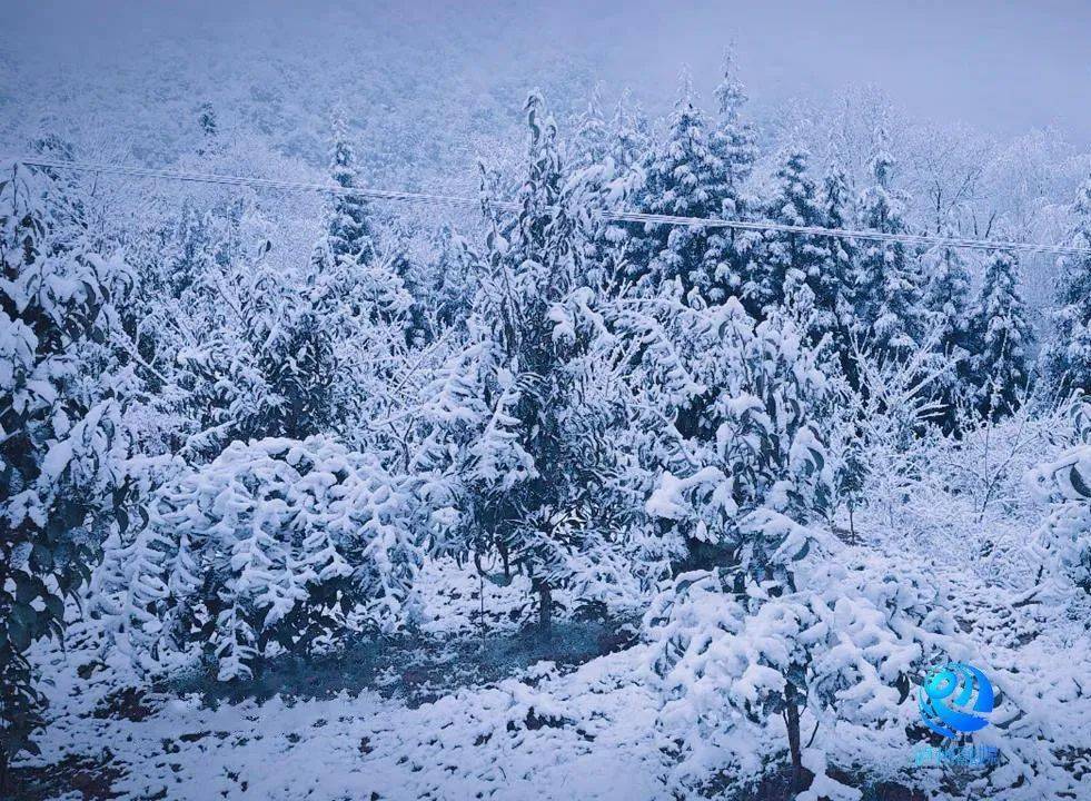 实景送上泸州迎来了甲辰龙年第一场雪受此天气影响最低仅为-3