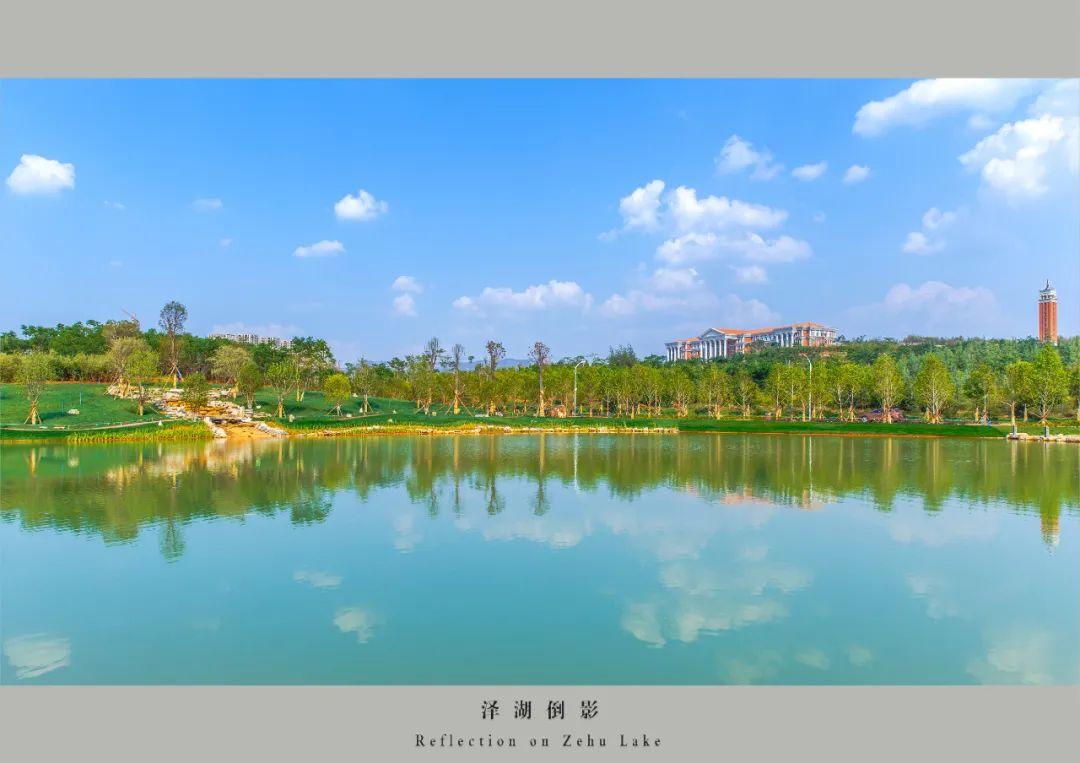 "的风景和体验……赏花,吃花,看云,湖畔漫步这还真不是同学们"凡尔