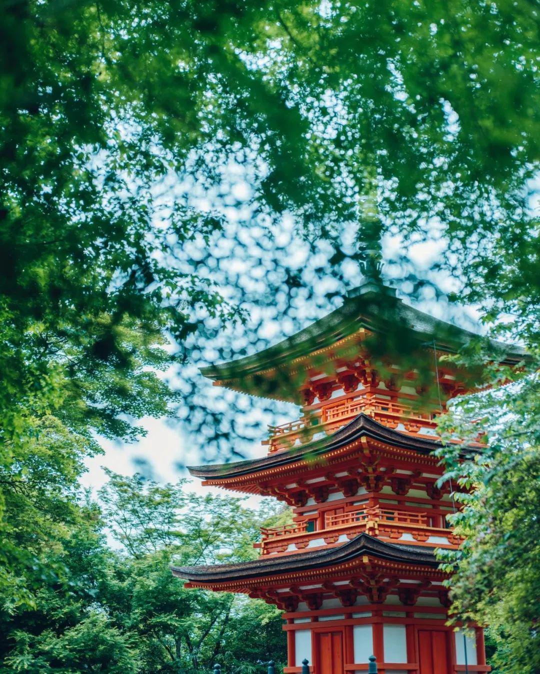 京都の古寺より 義士木像寫眞 花岳寺 小博附 1017V2G-