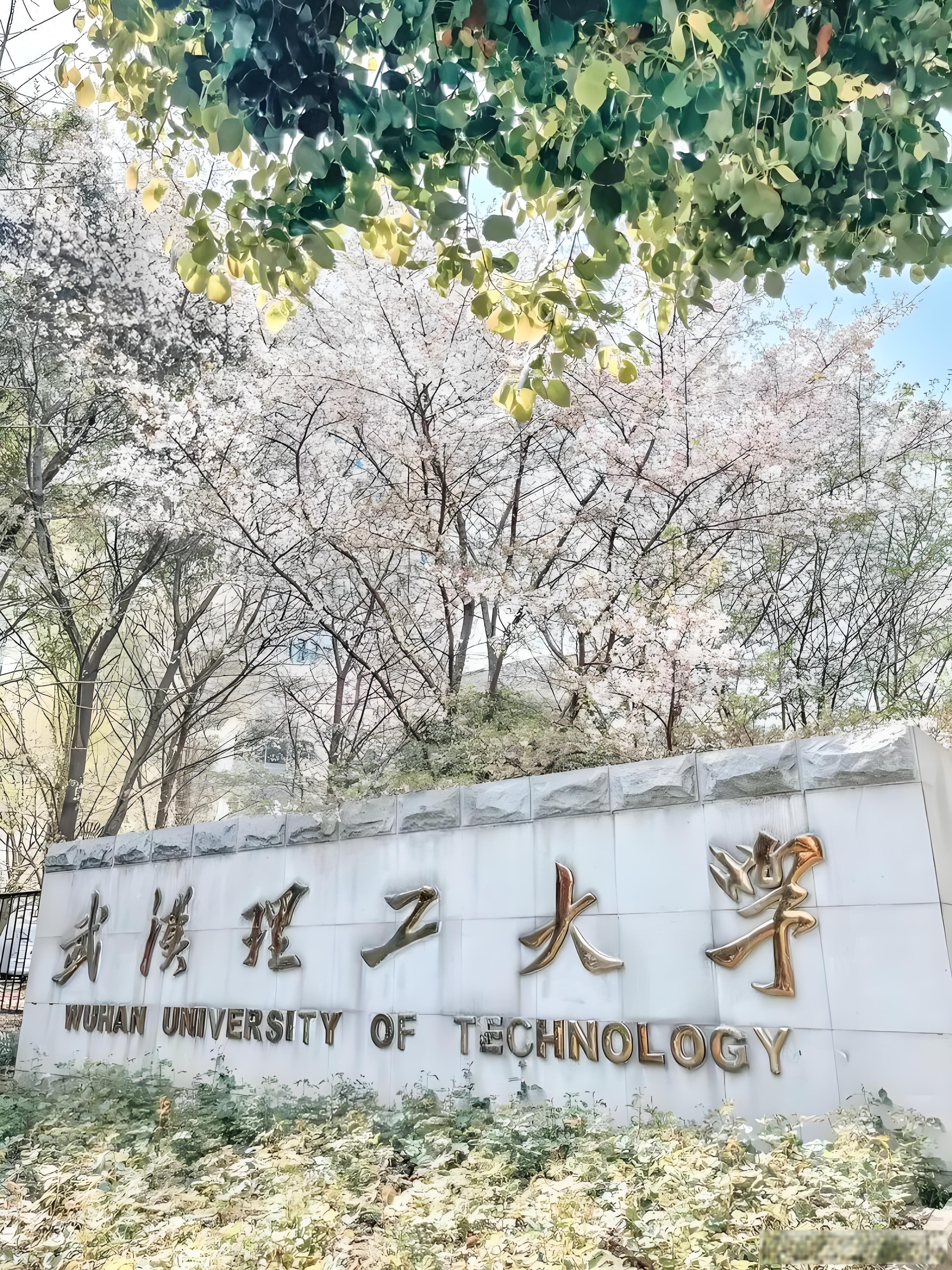 武汉理工大学和东北大学,要如何选择呢?原因是什么?