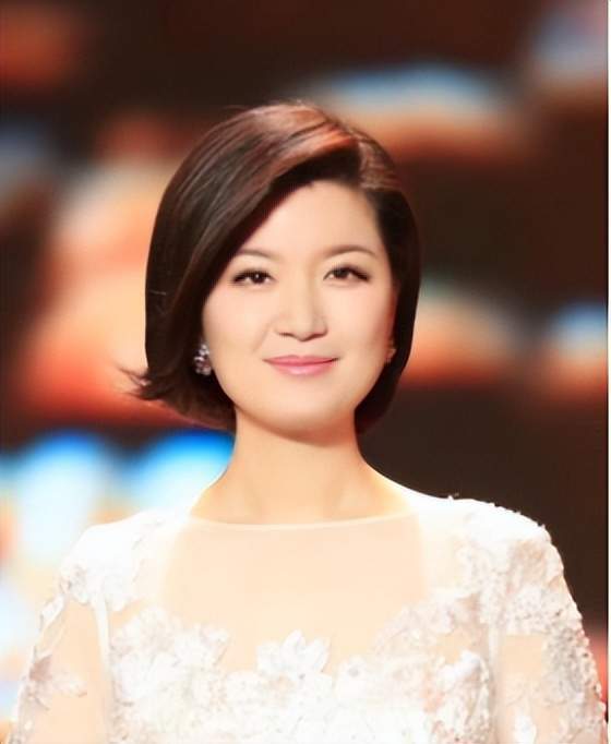 几次录像后,陈晓申虽然业务精通,主持能力毫无置疑,但依然被小辰否定.