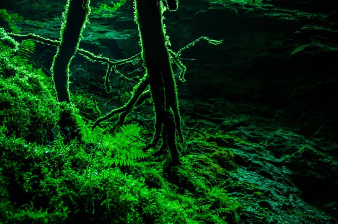 而这种毒汁之所以被称为非常好的药材,其主要就是使用这种毒汁能够