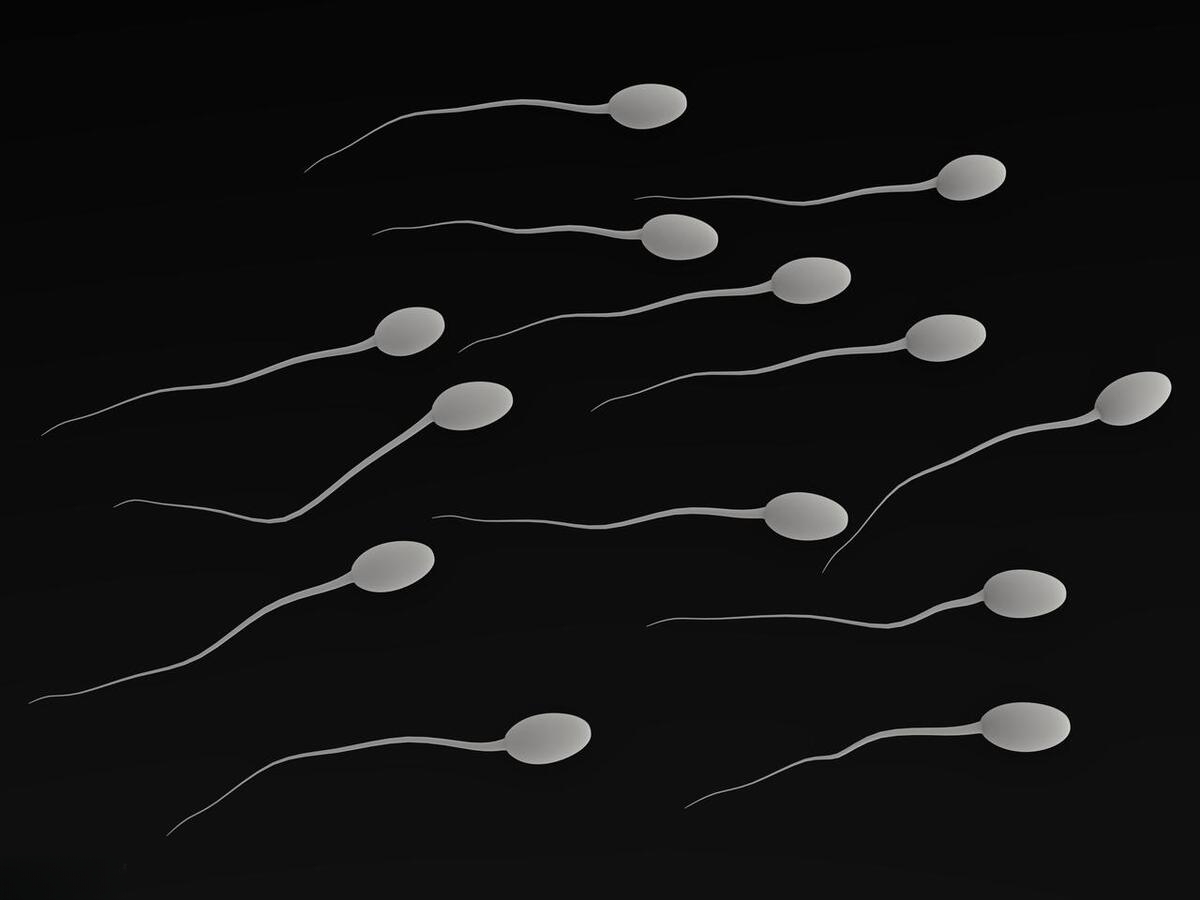 精子与卵子图片素材-编号07989514-图行天下