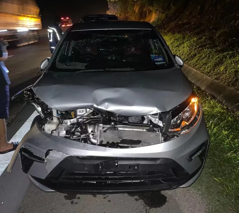 路虎被撞!260斤的马来亚虎被撞死亡,人类活动到底有多可怕?