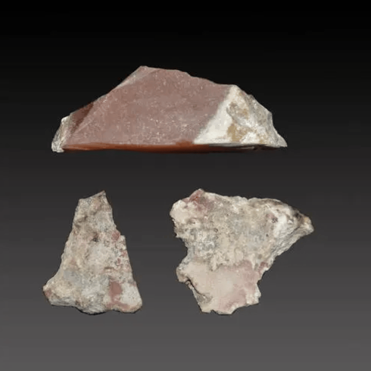 鲸排泄物龙涎香,排出来的香且比黄金贵,人工取出来的就不值钱?