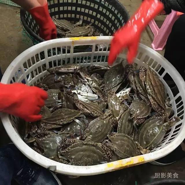 易有料-智能信息流一站式服务平台