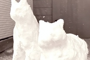 雪猫.ページ AIdro_kjmmWUOCANhwm6EsPdi89VHa