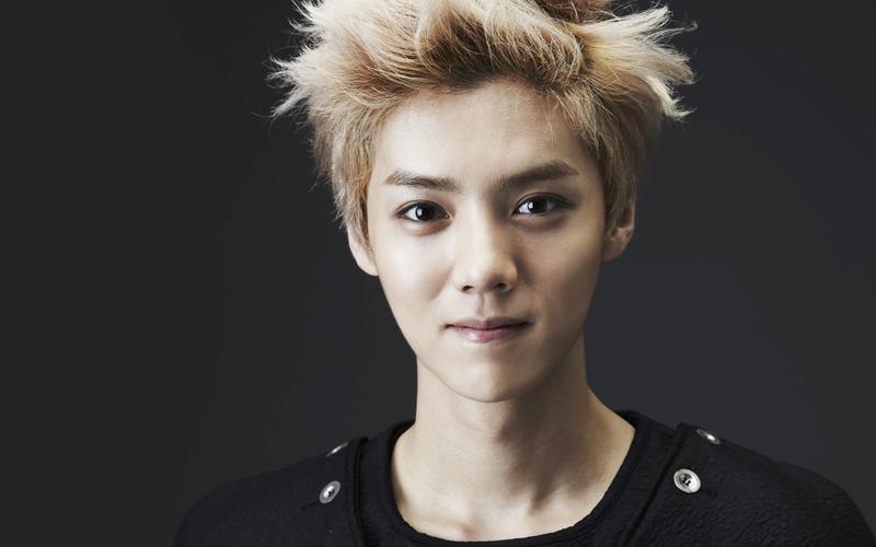 反观鹿晗的境遇就大不一样了,当年他所在的exo可谓是横空出世,碾压了