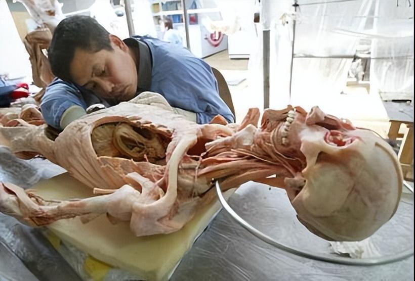 易有料-智能信息流一站式服务平台