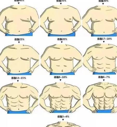 男性体脂率体型对照表图片