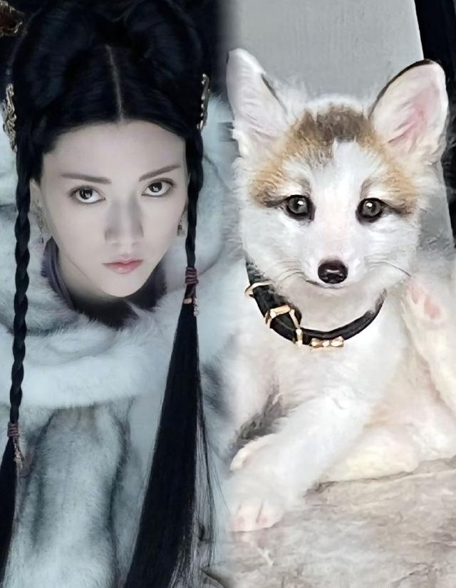 场内爆满一票难求,法国观众:封神比漫威好看