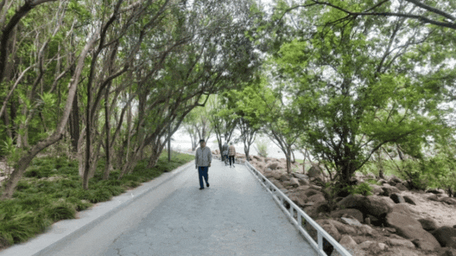 IMG_7788.GIF