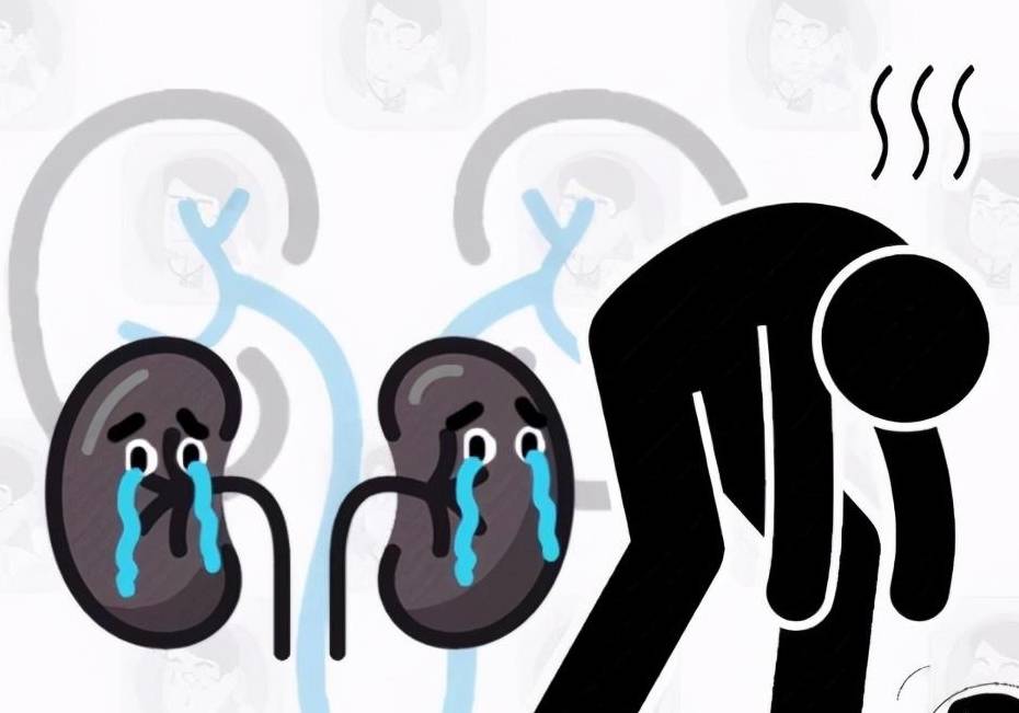 1,尿量异常:尿量异常包括多尿,少尿,无尿和夜尿过多健康人的尿量为