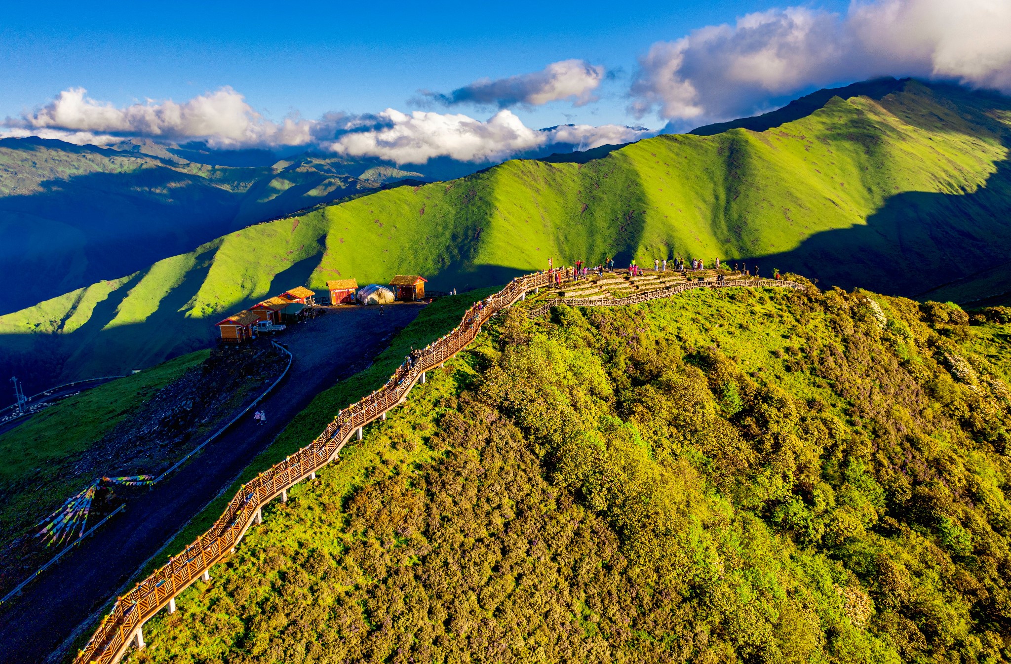 智能信息流一站式服务平台