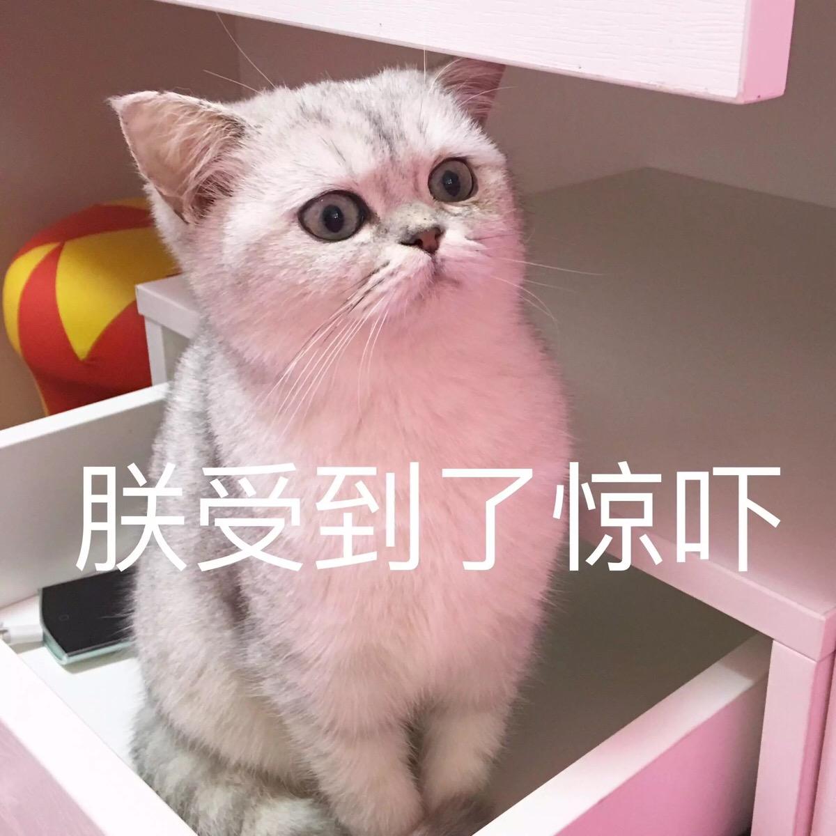 内容图片