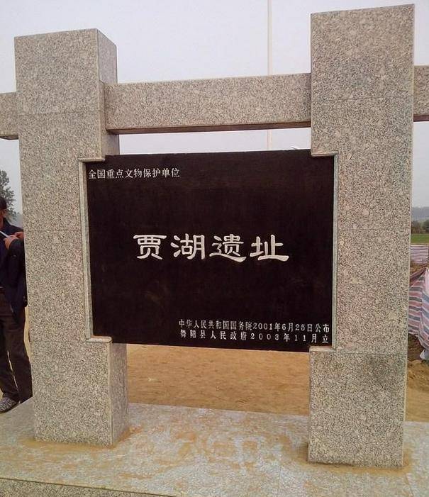 河南出土3根骨头,至今已有9000年,专家:中国又创造了世界奇迹