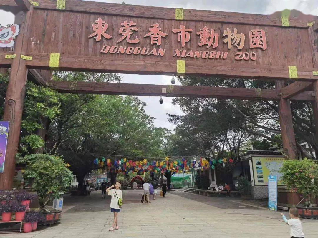 东莞香市动物园喷雾降温工程-深圳市南水灌溉科技有限公司