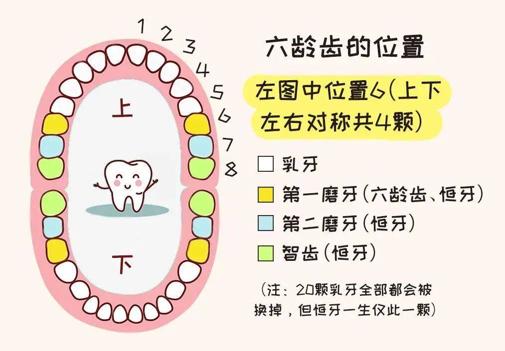 王医生,牙齿畸形可以预防吗?有哪些措施可以预防?1