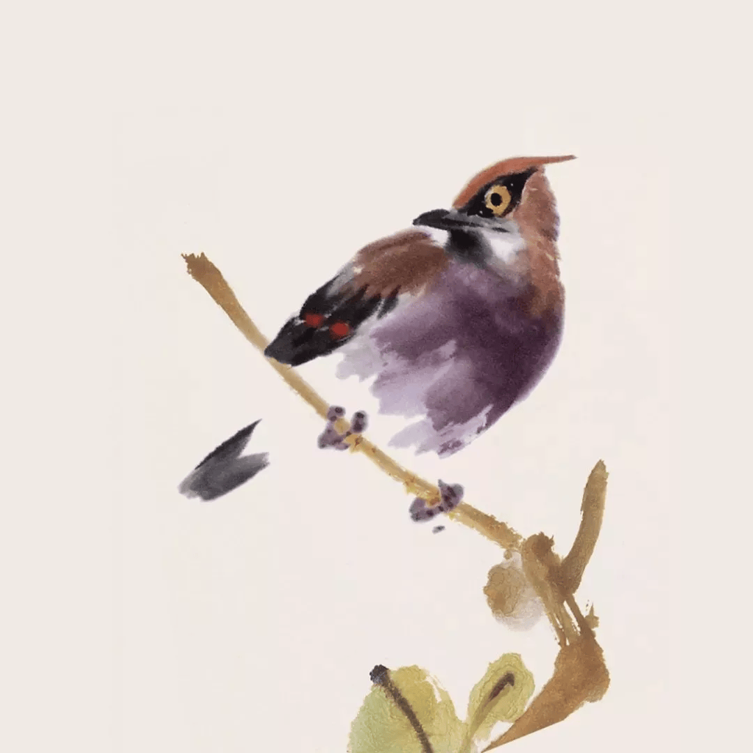 灵气逼人的国画小鸟,美到窒息!