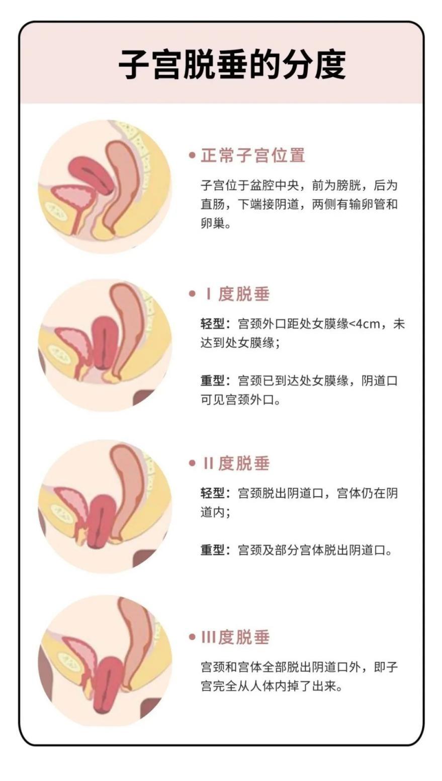 易有料-智能信息流一站式服务平台