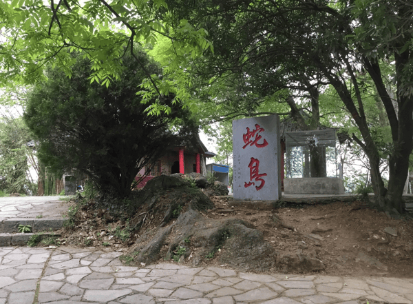 茫茫大海中的大连蛇岛,它们都是从哪来的?蛇为什么能称霸一方