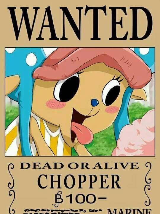 精致的美人~《海贼王》两年后的悬赏令画风突变,娜美和罗宾真美真性感