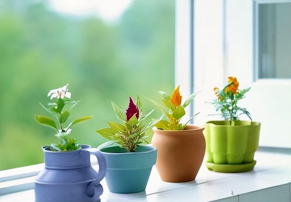 穷不怪父，孝不比兄，苦不责妻，便是人生的至高境界！