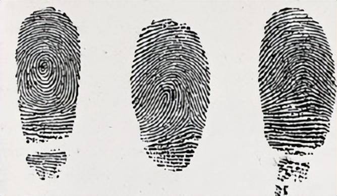 指纹中的"斗"和"簸箕",能判断一个人的穷与富?看看事实真相