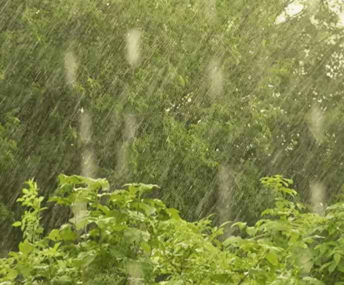 ли07вень 暴雨;阵雨从市场回来的路上她遇到了瓢泼大雨.