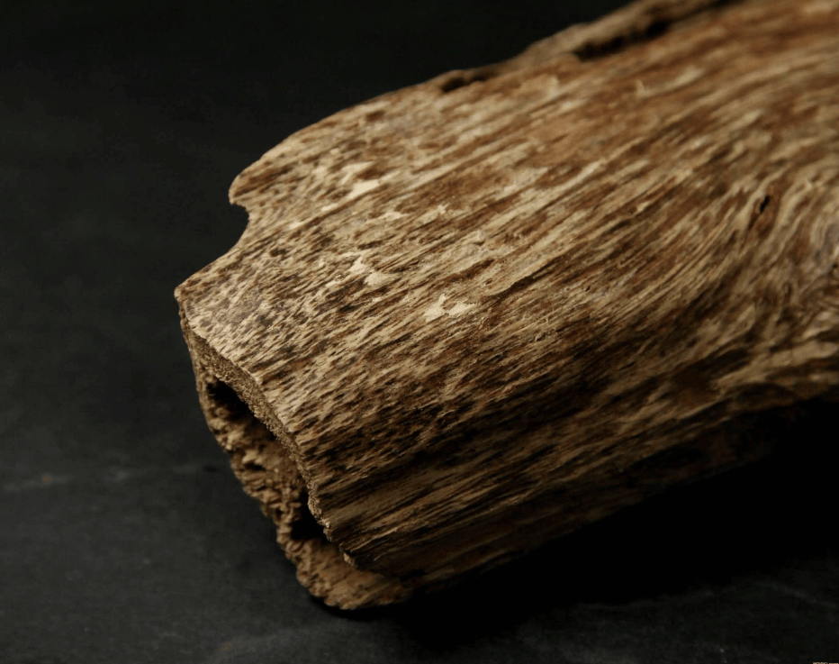 鲸排泄物龙涎香,排出来的香且比黄金贵,人工取出来的就不值钱?