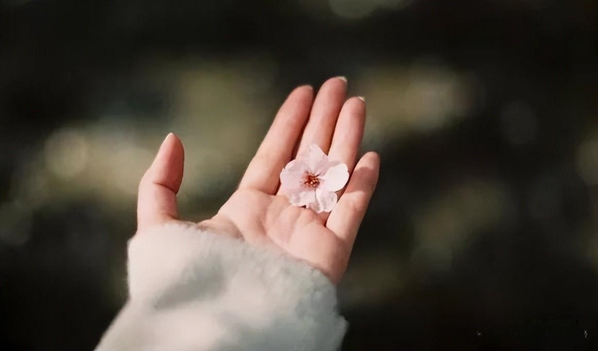 穷不怪父，孝不比兄，苦不责妻，便是人生的至高境界！