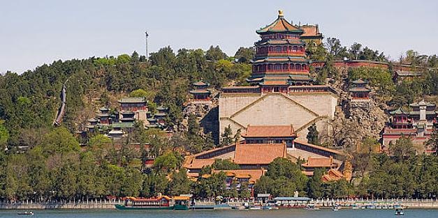 世界最大鸟巢,重达1吨却无人掏鸟蛋?上面有一动物无人敢碰