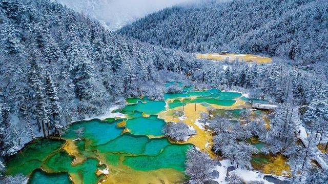 我在深山“诊”黄龙