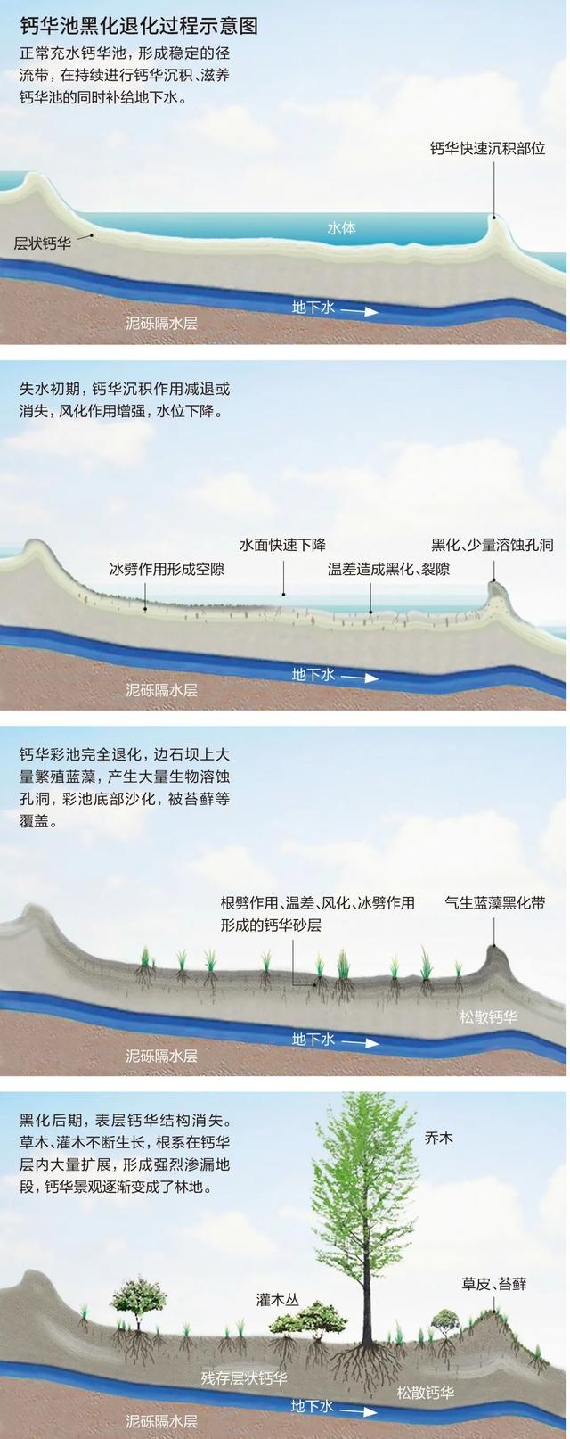我在深山“诊”黄龙