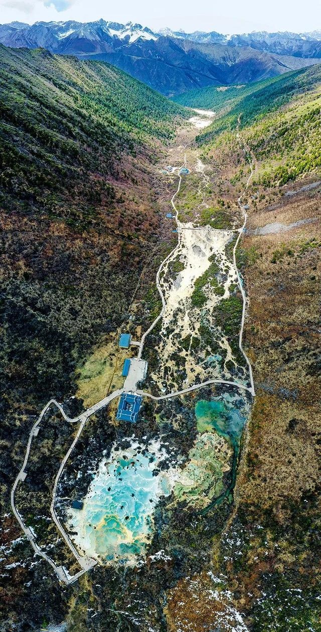 我在深山“诊”黄龙