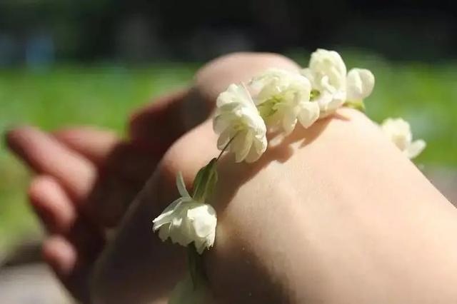 如何形容夏天的味道?或许是记忆中的花香