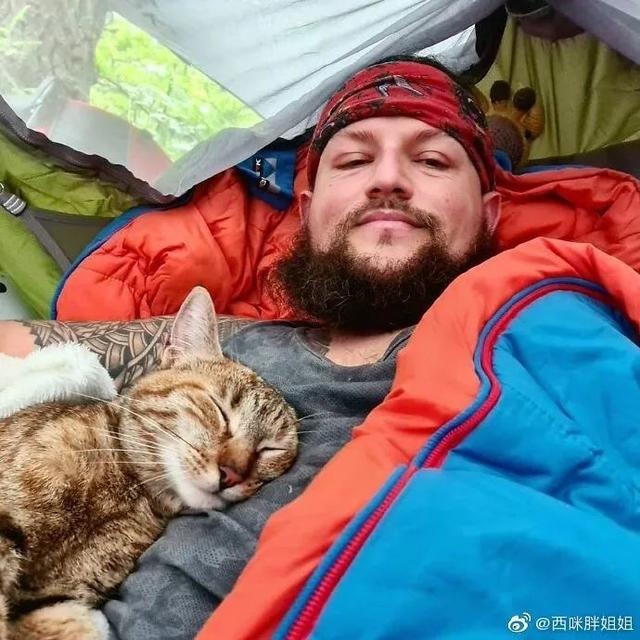 芬兰一男子带宠物猫一起旅行,画面非常有爱