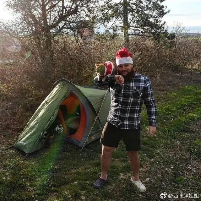 芬兰一男子带宠物猫一起旅行,画面非常有爱