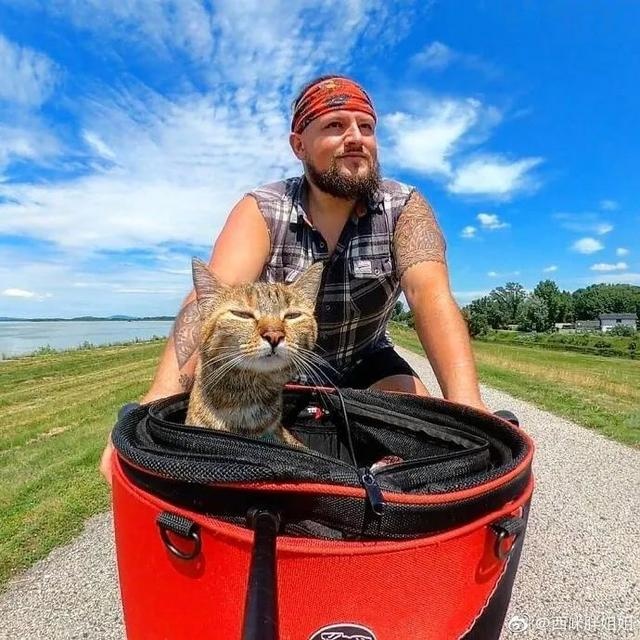 芬兰一男子带宠物猫一起旅行,画面非常有爱