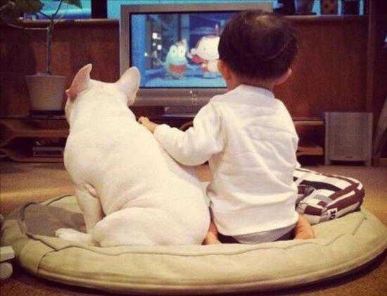 Does a dog really know he's a dog? Netizen: In front of me, it is my boss