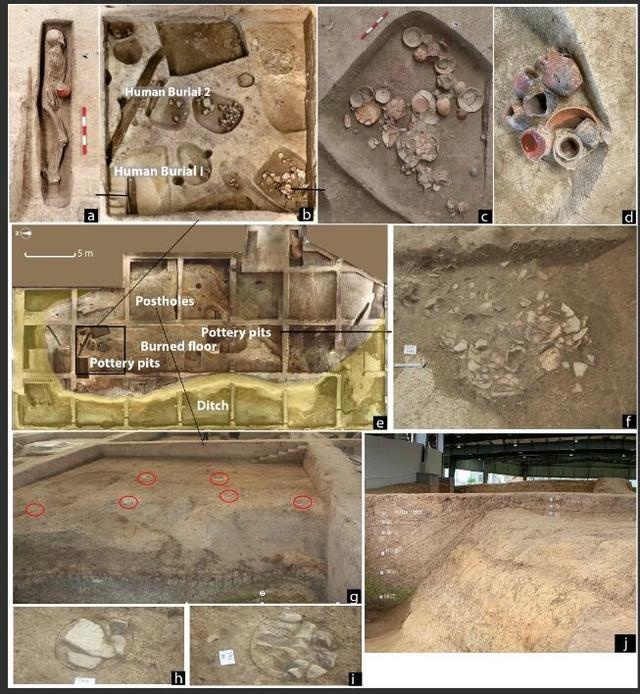 酒文化悠久!考古新发现:9000年前中国南方就喝上了啤酒,颜色浑浊