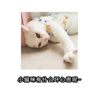the shape of the claw pad determines the character of the cat? teach you to look at the claws and see the "cat"