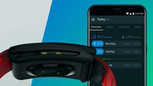 inforec-20210905-9e5252ac5553cff1ecbf2aa2235d2ad3.jpg?time=1630894554&signature=C6F36BFEC77EA42D357D4B9B5954C4D6