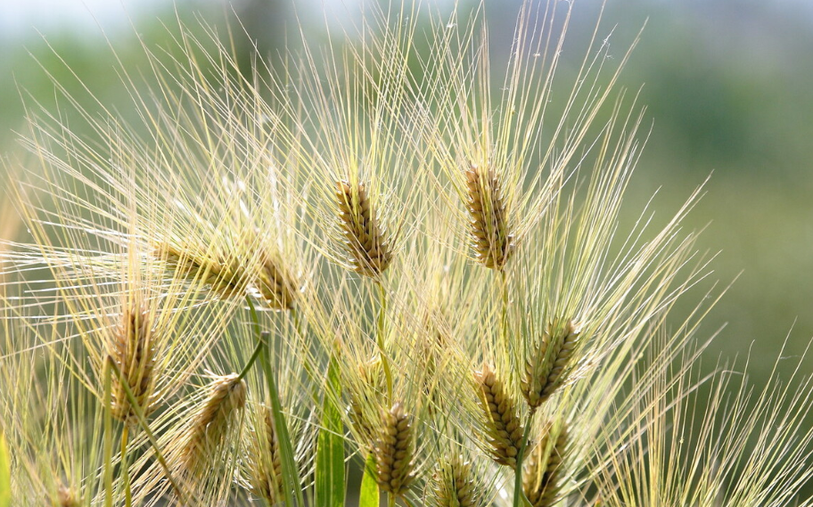 inforec-20210906-54e0ba4c1c3377d518af6453104c8ddd.png?time=1630893888&signature=02940BFE605E26DFAC37CCF8E6ADFA6F