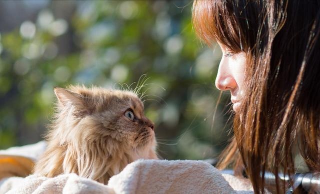 even if the cat is very cute, but there are these big disadvantages, after watching you will still keep